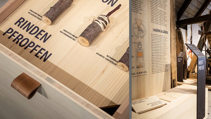 VISUELL Szenografie: Obstbaumuseum: Ausgezogene Schublade mit echten Rindenpfropfen