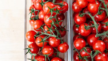 VISUELL Blogbeitrag: Das Event unterm Dach mit dem Thema „Taste the best“ – das Olivenöl-tasting. VISUELL Blogbeitrag: Event unterm Dach– das Olivenöl-tasting: Tomaten