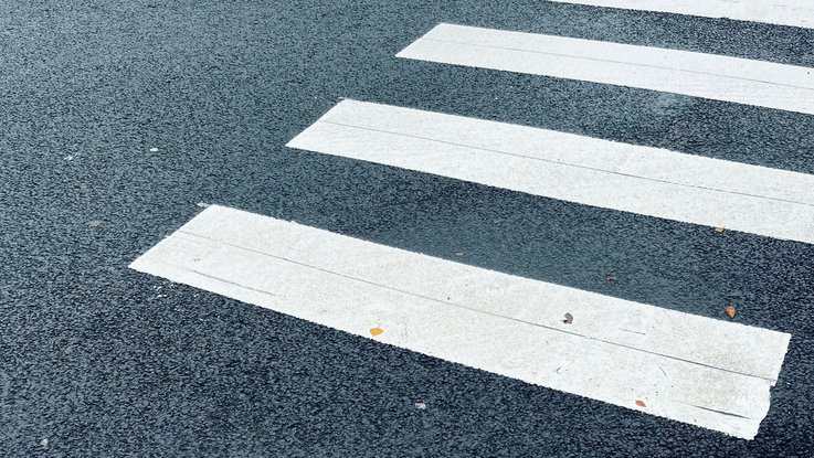 VISUELL Blogbeitrag: Weiterbildung in Oslo: Ein Zebra Streifen