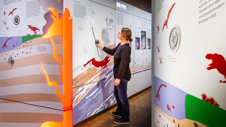 VISUELL Szenografie: Realisierung des neuen Ausstellungsbereichs „Tertiär – Geboren aus der Katastrophe“ im Naturkundemuseum Stuttgart VISUELL Szenografie: Naturkundemuseum: Besucher bestaunt die Ausstellung im Bereich "Aussterben", bei der man einen Asteoriden auf die Erde steuern kann