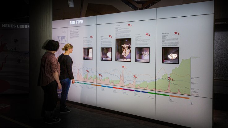 VISUELL Szenografie: Realisierung des neuen Ausstellungsbereichs „Tertiär – Geboren aus der Katastrophe“ im Naturkundemuseum Stuttgart VISUELL Szenografie: Naturkundemuseum: Zwei Besucher:innen schauen sich die Informationswand über die "Big Five" an - Aufschrift: Die fünf Massenaussterben