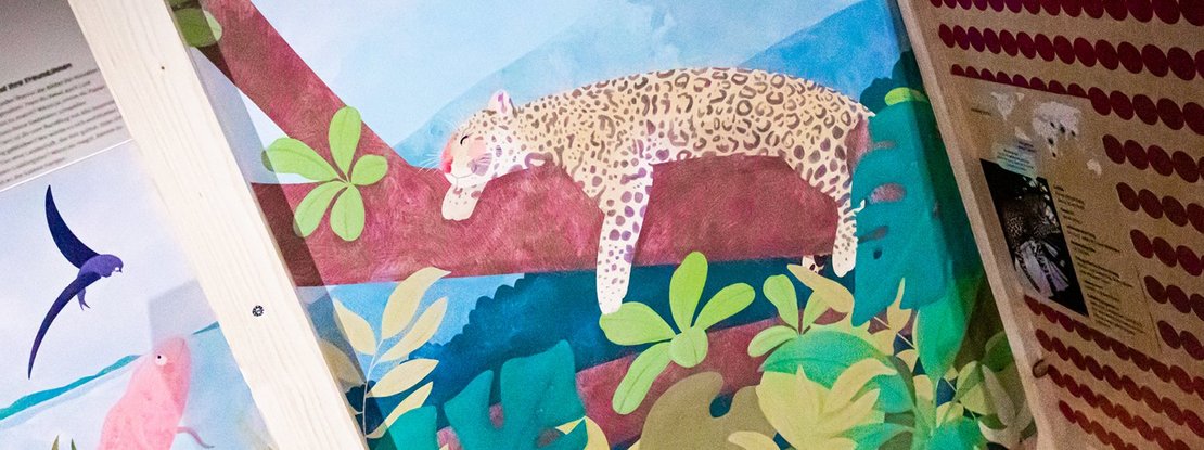 VISUELL Szenografie: Ausstellung „Spurensuche“: Illustration eines Tigers, der auf einem Ast liegt und schläft