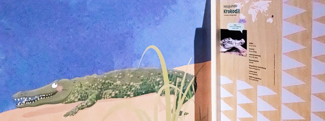 VISUELL Szenografie: Ausstellung „Spurensuche“: Illustration eines Krokodils mit Infos nebenan