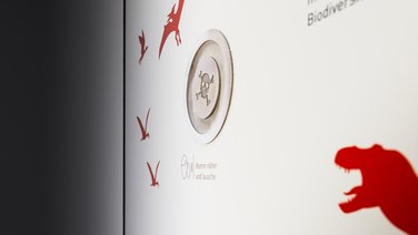 VISUELL Szenografie: Realisierung des neuen Ausstellungsbereichs „Tertiär – Geboren aus der Katastrophe“ im Naturkundemuseum Stuttgart VISUELL Szenografie: Naturkundemuseum: Detailaufnahme Hörstation - Aufschrift: Komm näher und lausche