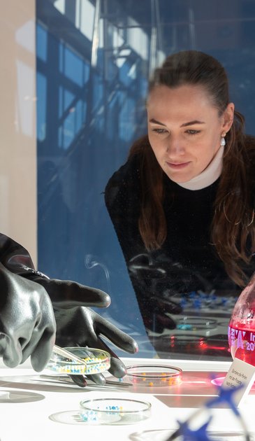 VISUELL Szenografie: Wissenschaftsausstellung „Was kann Katalyse?“ für den Sonderforschungsbereich SFB 1333 der Universität Stuttgart VISUELL Szenografie: Wissenschaftsausstellung: Eine Besucherin betrachtet aufmerksam ein Experiment in der Ausstellung „Was kann Katalyse?“. Sie schaut durch eine Glasvitrine auf eine Petrischale mit bunten Perlen. In der Vitrine sind Handschuhe zu sehen, mit denen eine Person das Experiment durchführt. Ein Informationsschild neben der Petrischale erklärt das Experiment.