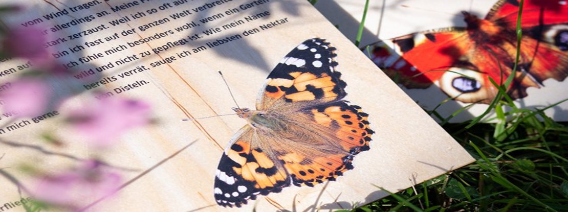 VISUELL Blogbeitrag: Schmetterlingswiese: Zwei Schmetterlinge auf einer Holztafel mit Informationen